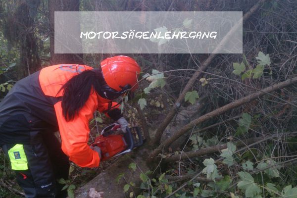 Der Motorsägenlehrgang und ich